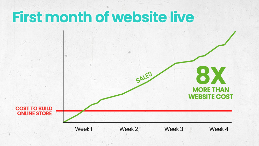 Sales of 8 times more than website cost in the first month